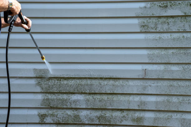 Best Historical Building Siding Restoration  in Haines, AK