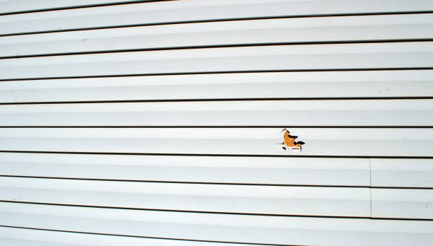 Best Engineered Wood Siding  in Haines, AK