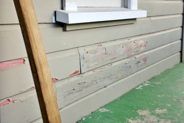 Best Custom Siding Design  in Haines, AK